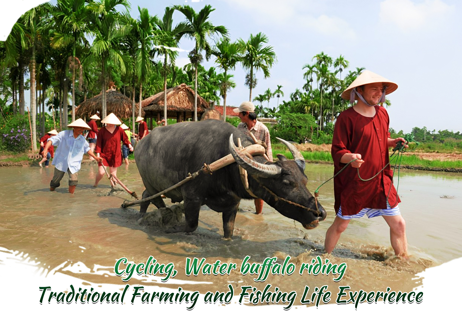 Tour Experience Riding a Buffalo and farmers in Cam Thanh - Hoi An ...